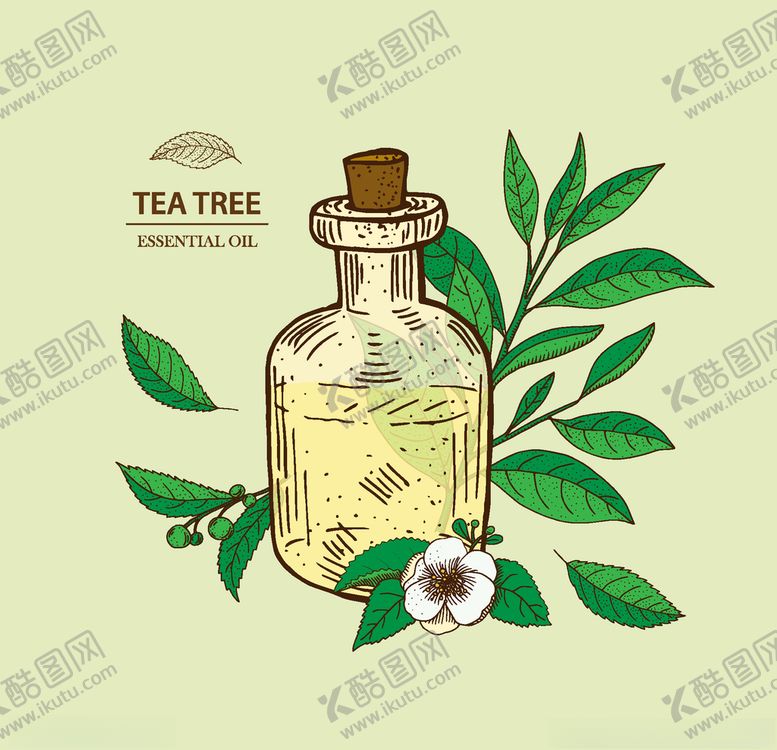 编号：17500107012334161662【酷图网】源文件下载-植物线稿