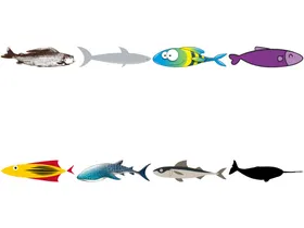 海洋生物