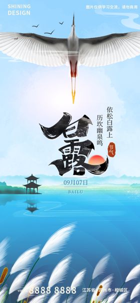 白露节气海报