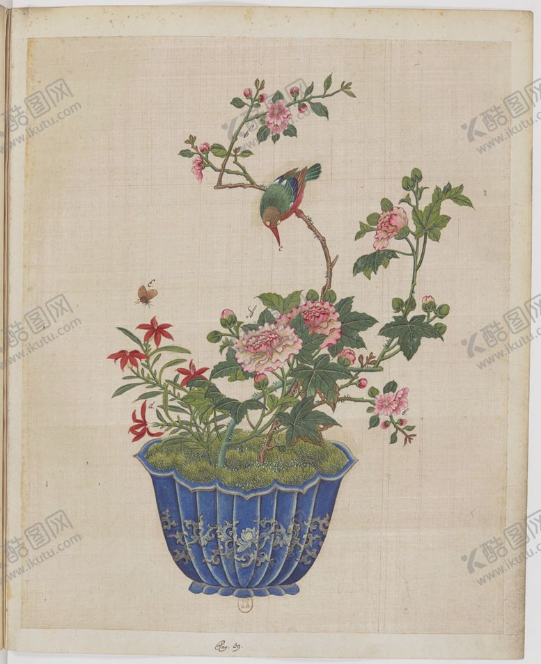 编号：35800904152212411756【酷图网】源文件下载-盆景花鸟