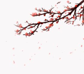 花枝