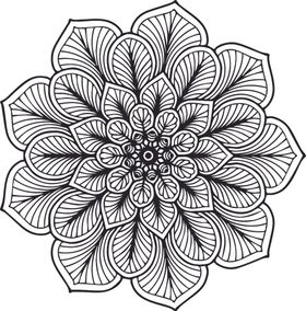 曼陀罗花纹
