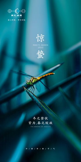 二十四节气惊蛰海报文化传统