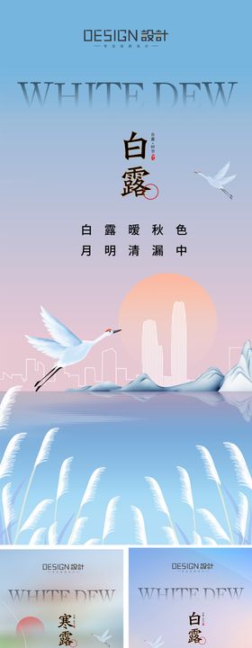 白露寒露节气海报系列芦苇插画地产