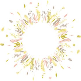 花边素材