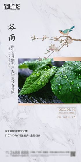 谷雨微信海报