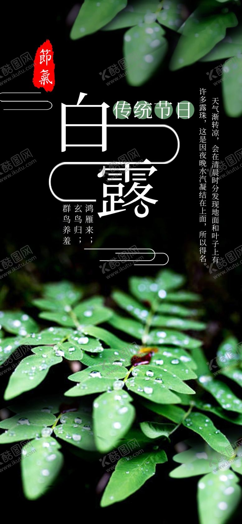 编号：60158709241733324948【酷图网】源文件下载-白露海报