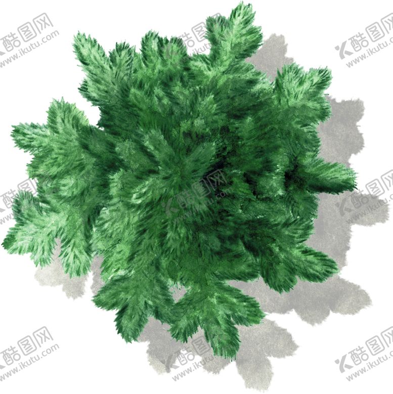编号：52247905121929141854【酷图网】源文件下载-手绘植物