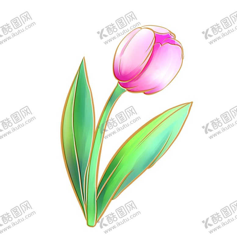 编号：32050702030129212795【酷图网】源文件下载-一只粉色水彩郁金香