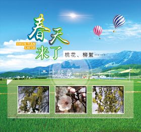 春天来了春色桃花柳絮