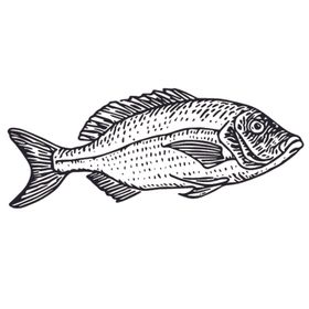 海洋生物鱼类图案