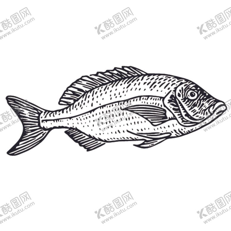 编号：68133007122103495144【酷图网】源文件下载-海洋生物鱼类图案