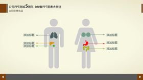 五脏六腑