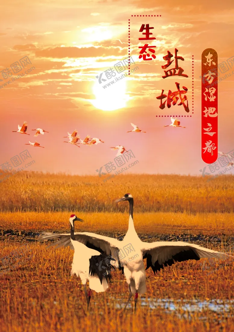 编号：79342905101806349166【酷图网】源文件下载-鹤啸九天
