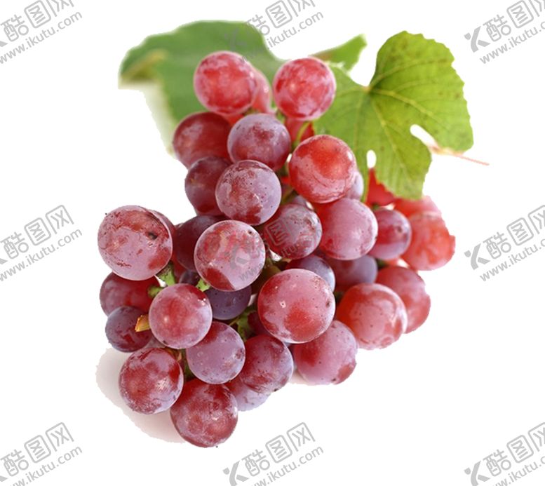 编号：77869909142154452207【酷图网】源文件下载-提子干葡萄提子黑提腰果