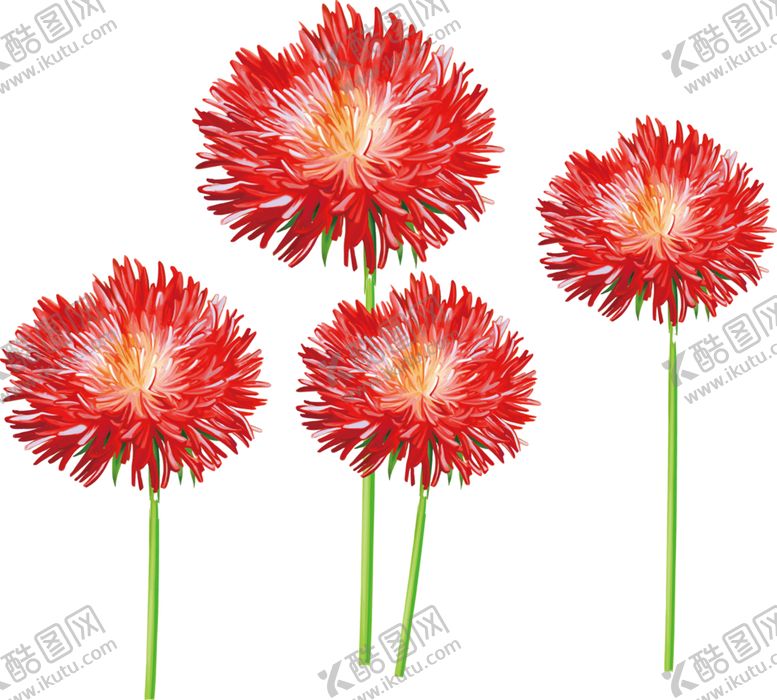 编号：74389709261826248420【酷图网】源文件下载-鲜花素材