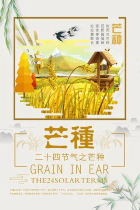 芒种传统24小麦海报