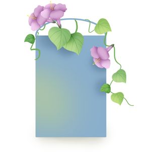 牵牛花插画背景