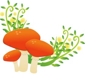 绿色植物
