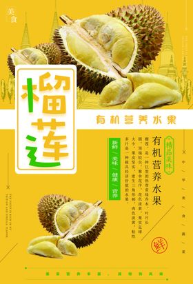榴莲水果招商有机水果创意水果摊
