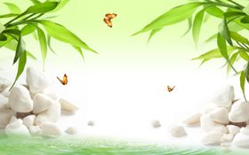 富贵竹背景墙
