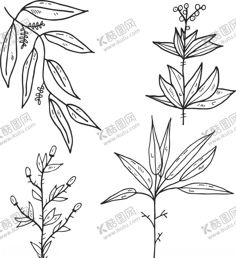 编号：21093009122125256660【酷图网】源文件下载-植物树叶线稿