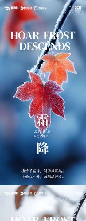 霜降节气系列海报