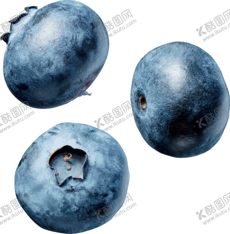 编号：83710906240752505527【酷图网】源文件下载-蓝莓