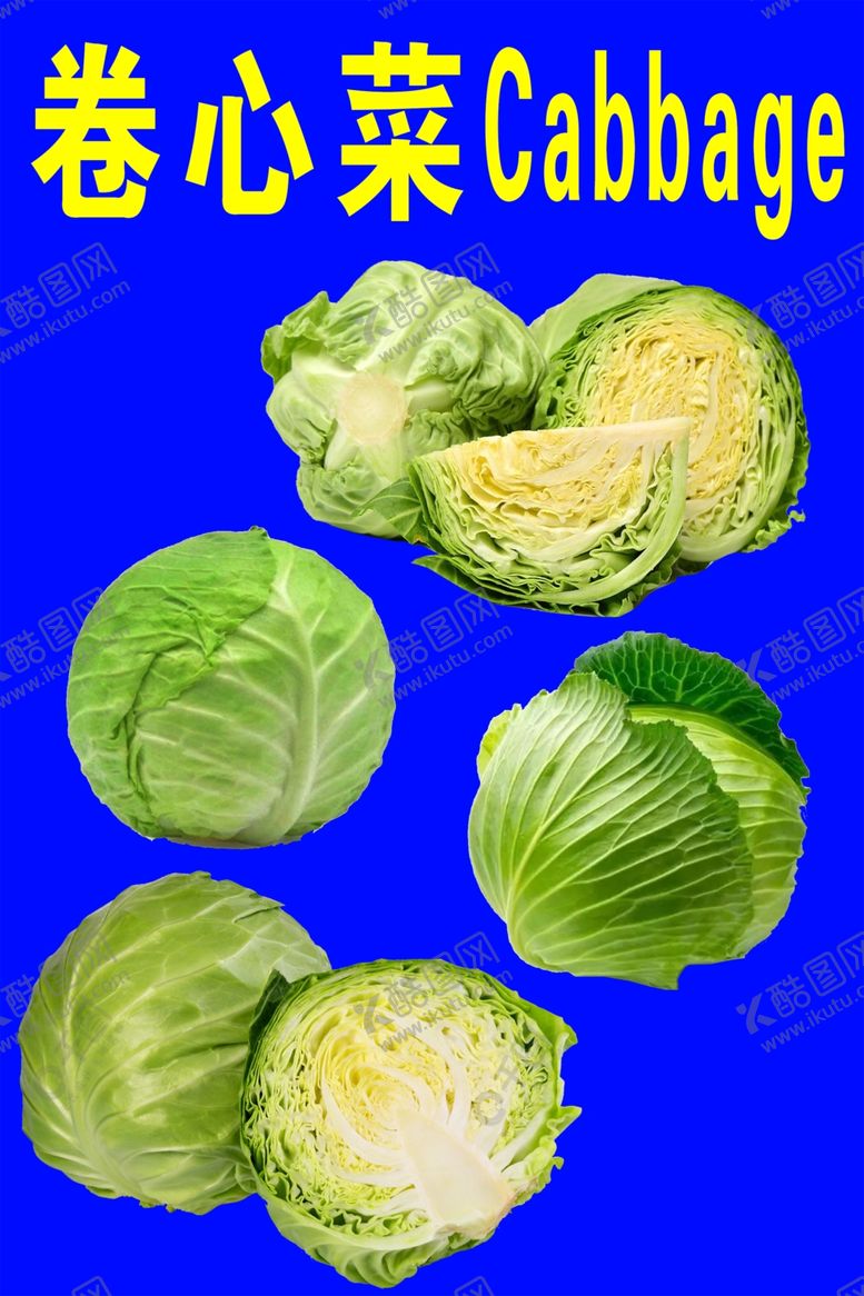 编号：71237102120114076765【酷图网】源文件下载-卷心菜