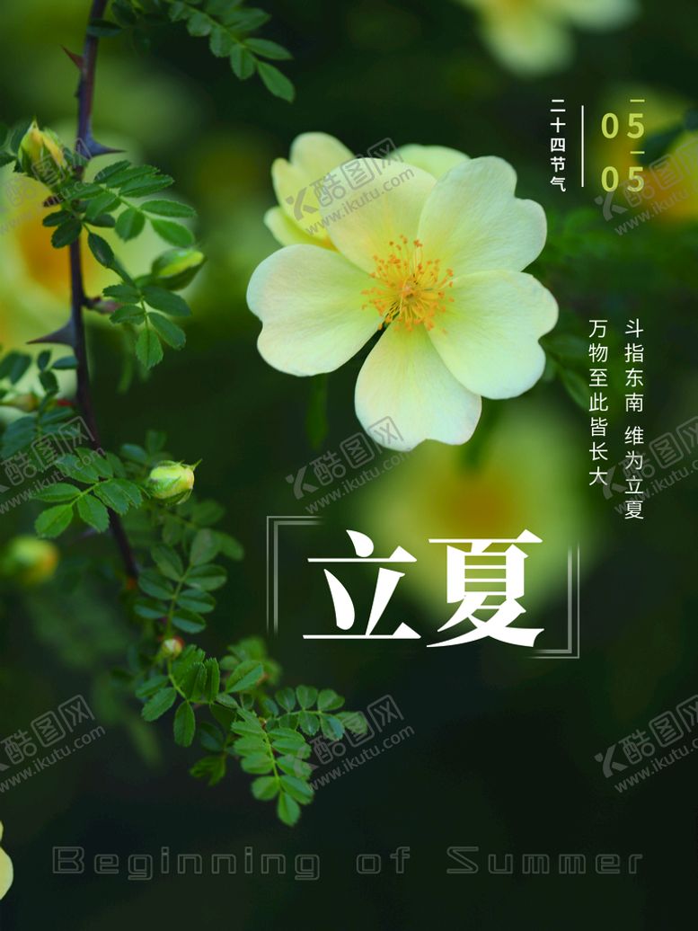 编号：05483209290158582781【酷图网】源文件下载-立夏