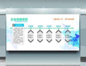 企业发展历程