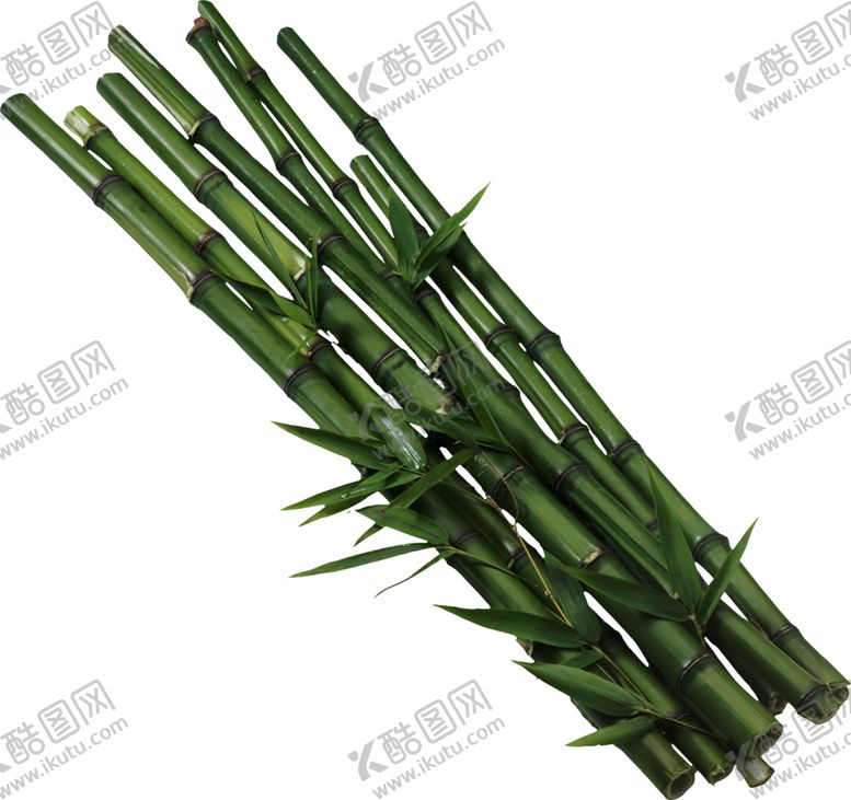 编号：97654607072036196007【酷图网】源文件下载-竹子