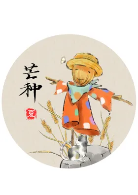 芒种海报