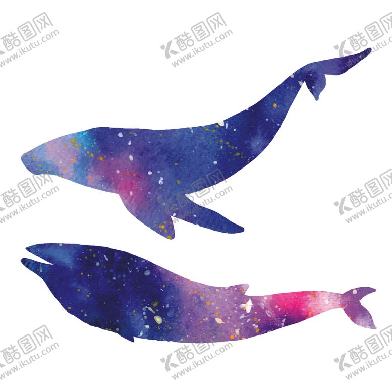 编号：77129109162110152971【酷图网】源文件下载-炫彩渐变鲸鱼图案
