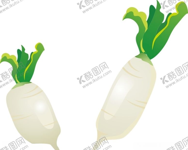 编号：48714910211657053496【酷图网】源文件下载-白萝卜
