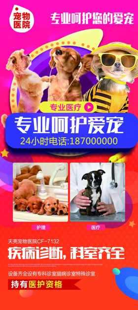 宠物海报