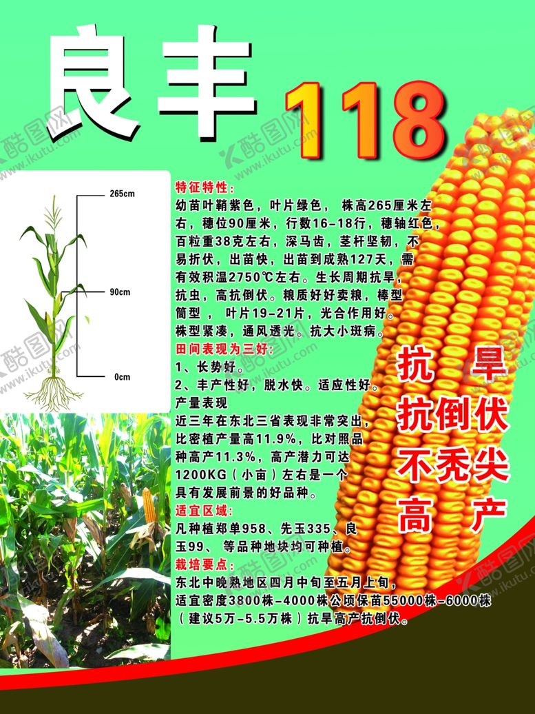 编号：32878109221116046022【酷图网】源文件下载-玉米海报