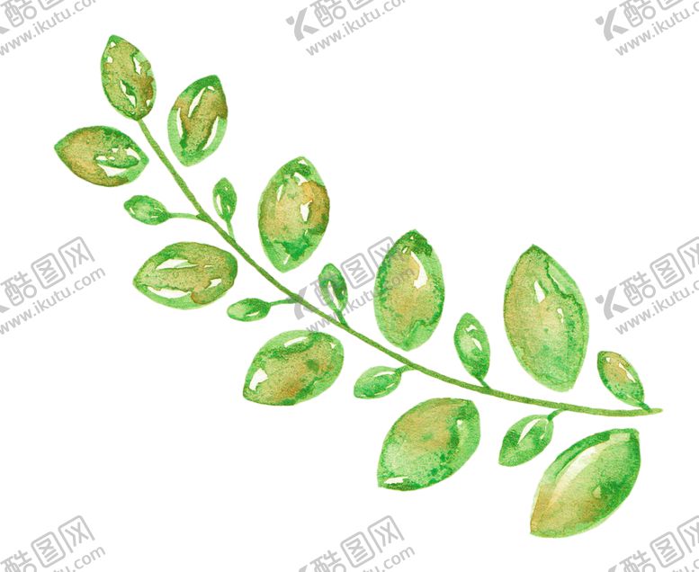 编号：34600407040019556161【酷图网】源文件下载-水彩植物