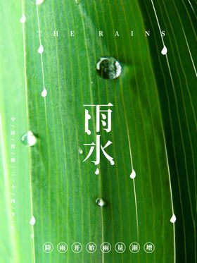 雨水节海报