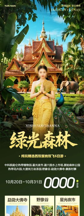 云南西双版纳野象谷告庄夜市旅游海报