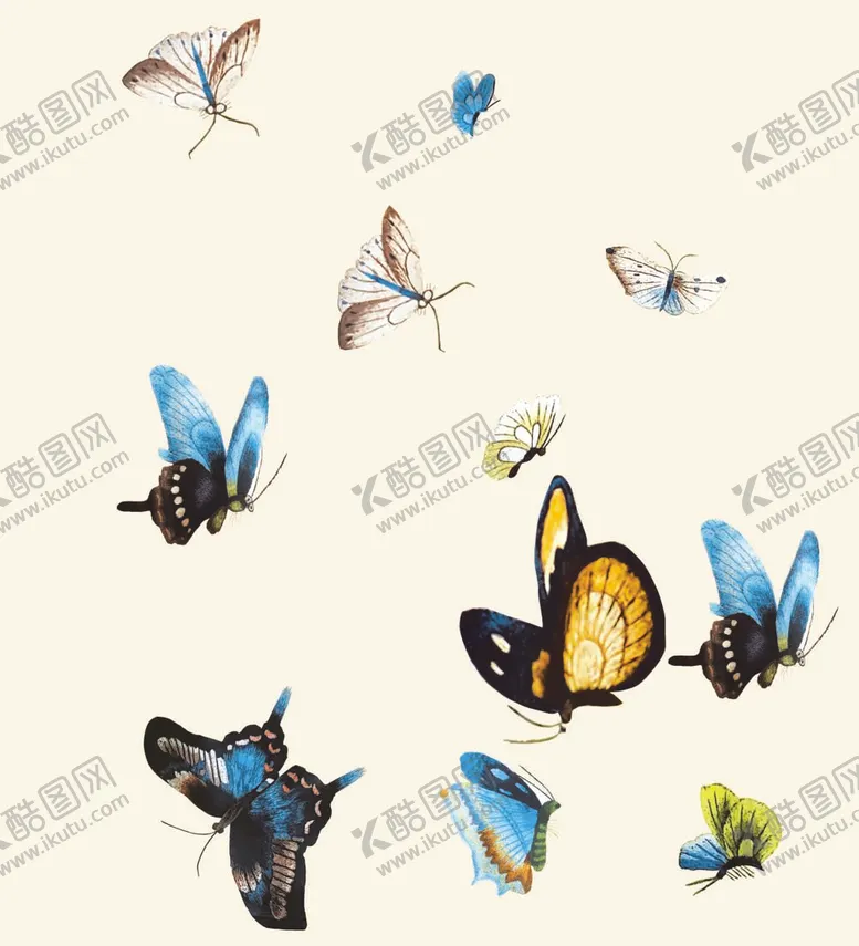 编号：86384211270717488418【酷图网】源文件下载-蝴蝶