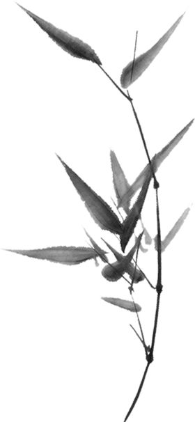 竹子