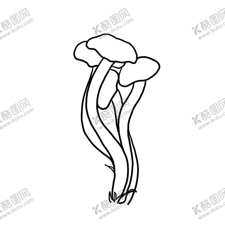 编号：10318105051646053956【酷图网】源文件下载-茶树菇