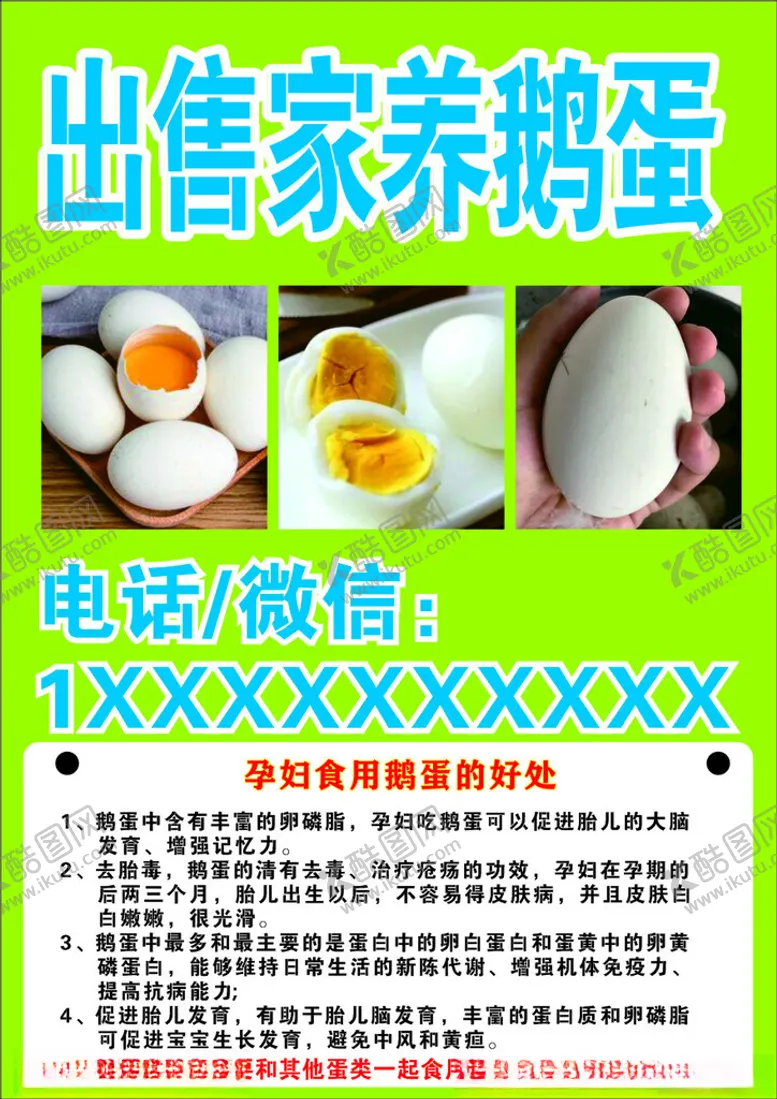 编号：19461902200904061123【酷图网】源文件下载-土鹅蛋