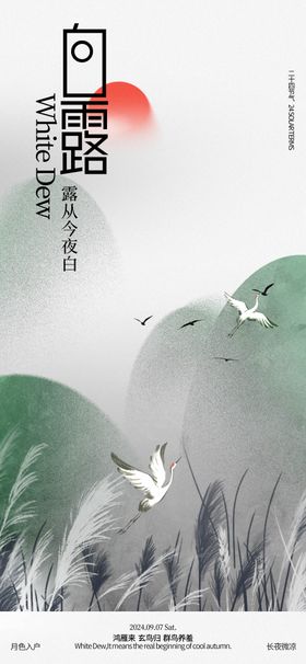 白露芦苇插画海报