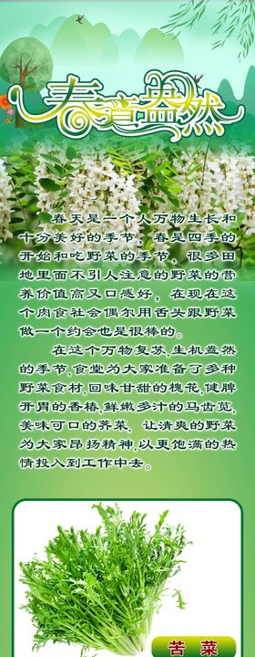 春来野菜鲜