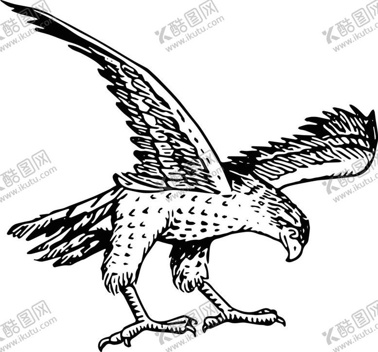 编号：57590010181700437093【酷图网】源文件下载-老鹰