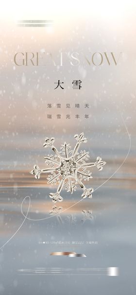 大雪海报质感轻奢花简约
