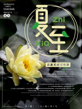 夏至海报节气宣传24节气中国传统节气画面