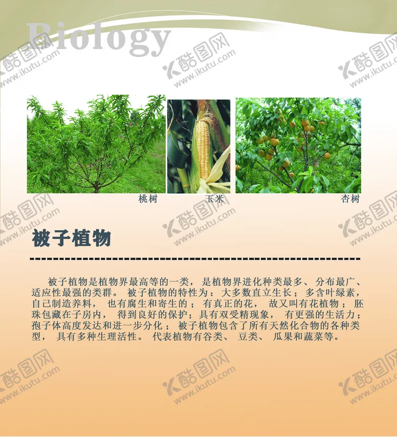 编号：40698109200823579047【酷图网】源文件下载-生物知识展板图片